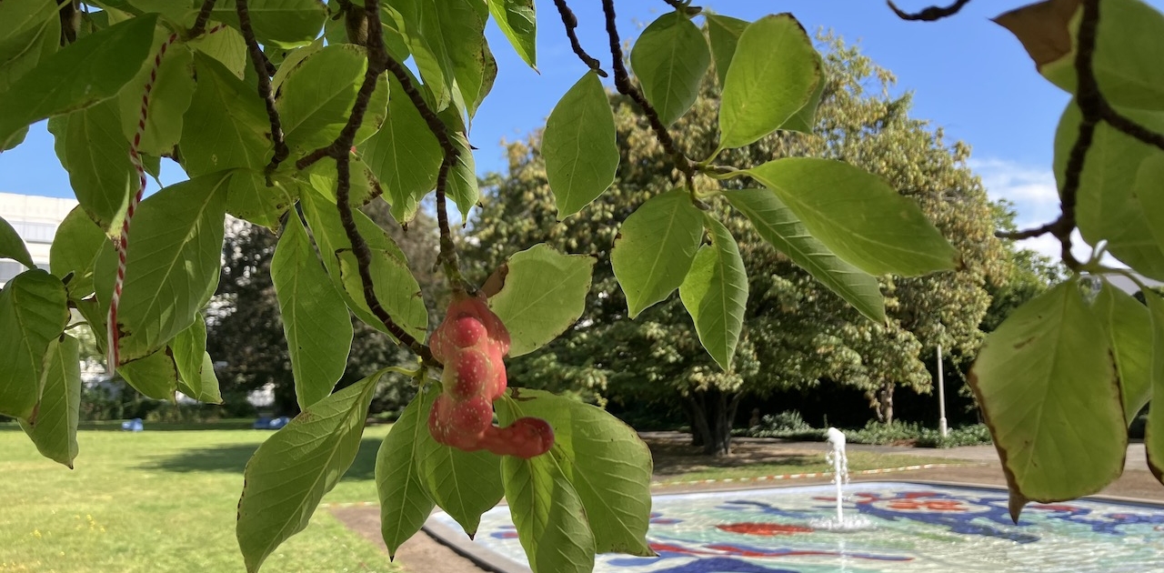 Sprudelnder Brunnen zwischen Bäumen in einem Garten